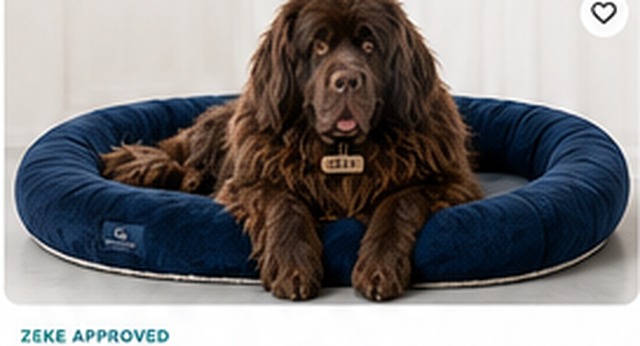 Personalized Giant Dog Bed
